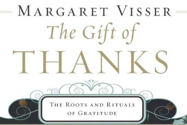 Action-Perception Cycle Diagram